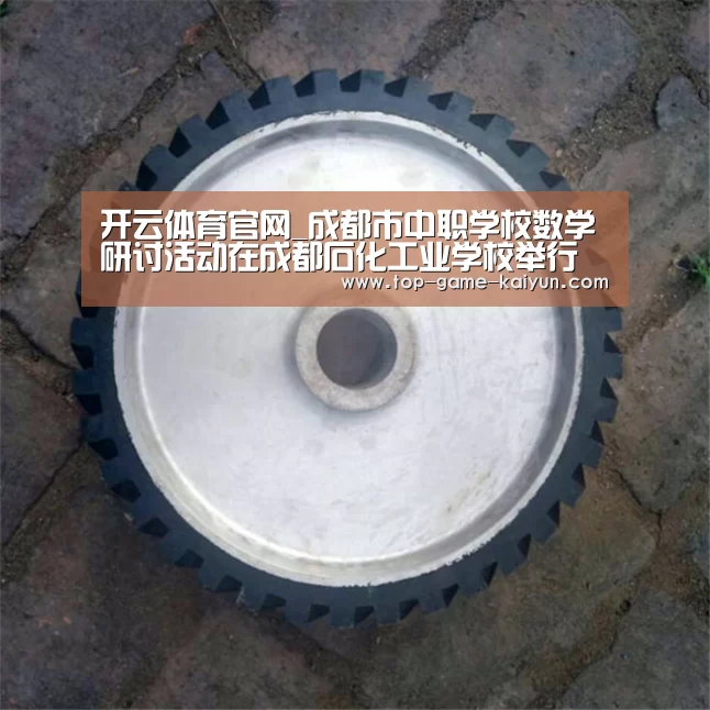 开云体育官网_成都市中职学校数学研讨活动在成都石化工业学校举行(图3) 开云体育官网