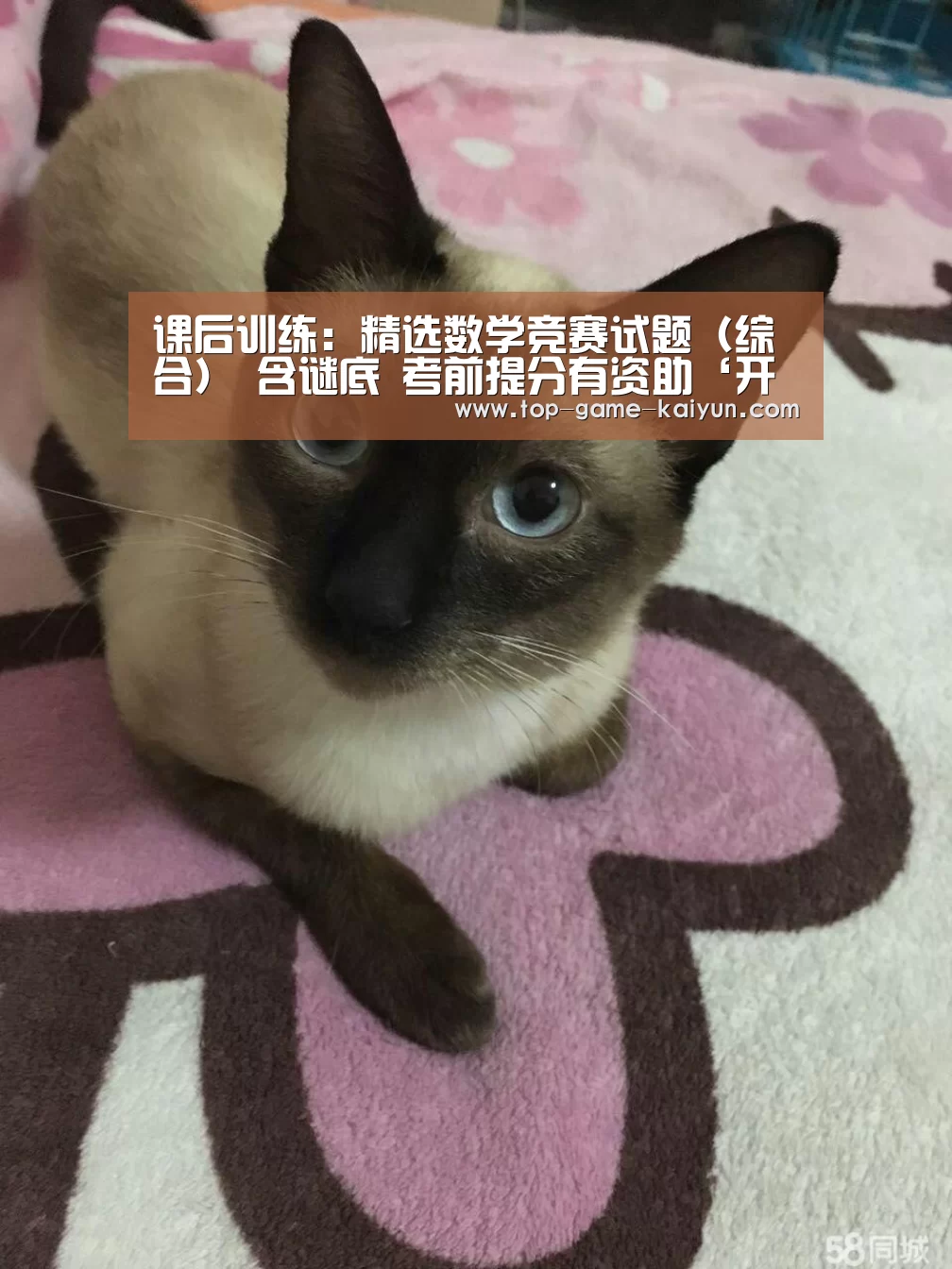 课后训练:精选数学竞赛试题(综合) 含谜底 考前提分有资助‘开云体育网站’(图2) 开云体育网站