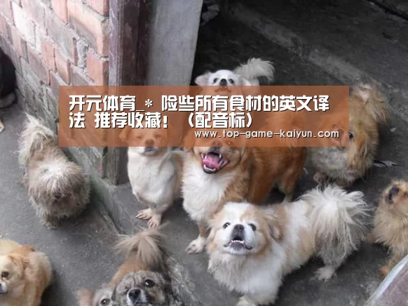 Kaiyuan Gaming