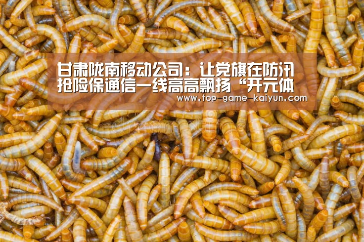 甘肃陇南移动公司:让党旗在防汛抢险保通信一线高高飘扬“开元体育”(图2) 开云体育网站