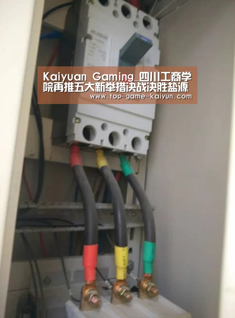 Kaiyuan Gaming_四川工商学院再推五大新举措决战决胜盐源县脱贫攻坚(图3) 开云体育官网