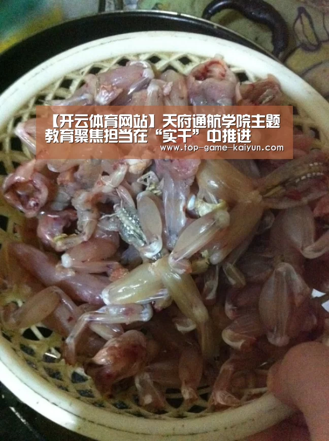 【开云体育网站】天府通航学院主题教育聚焦担当在“实干”中推进